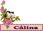 Gif câlins